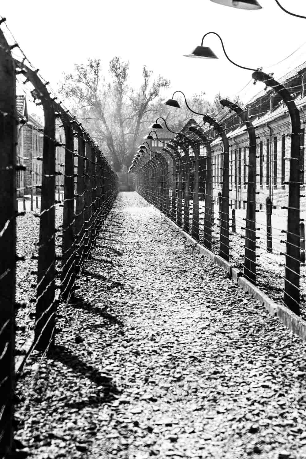Auschwitz-Birkenau