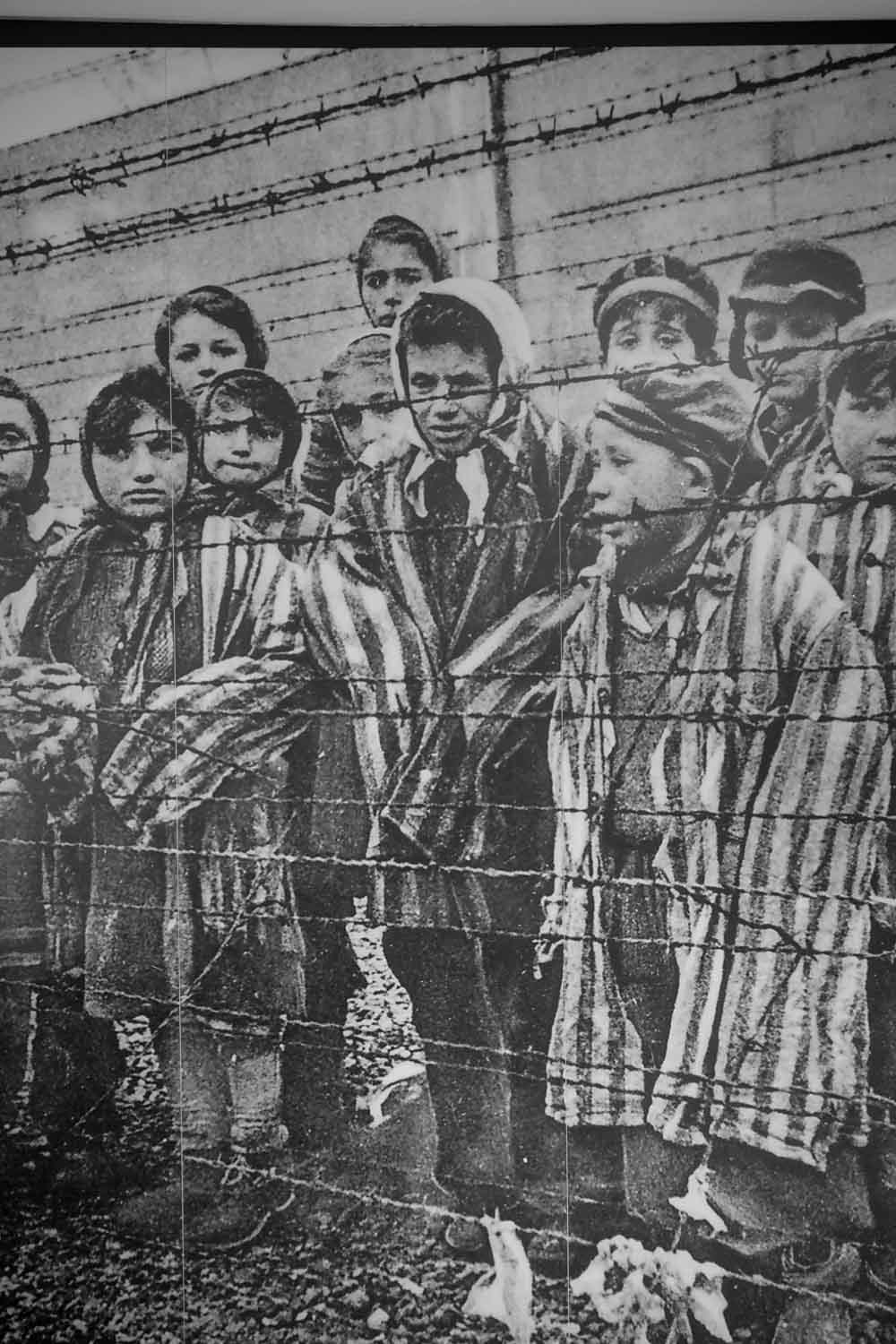 Auschwitz-Birkenau