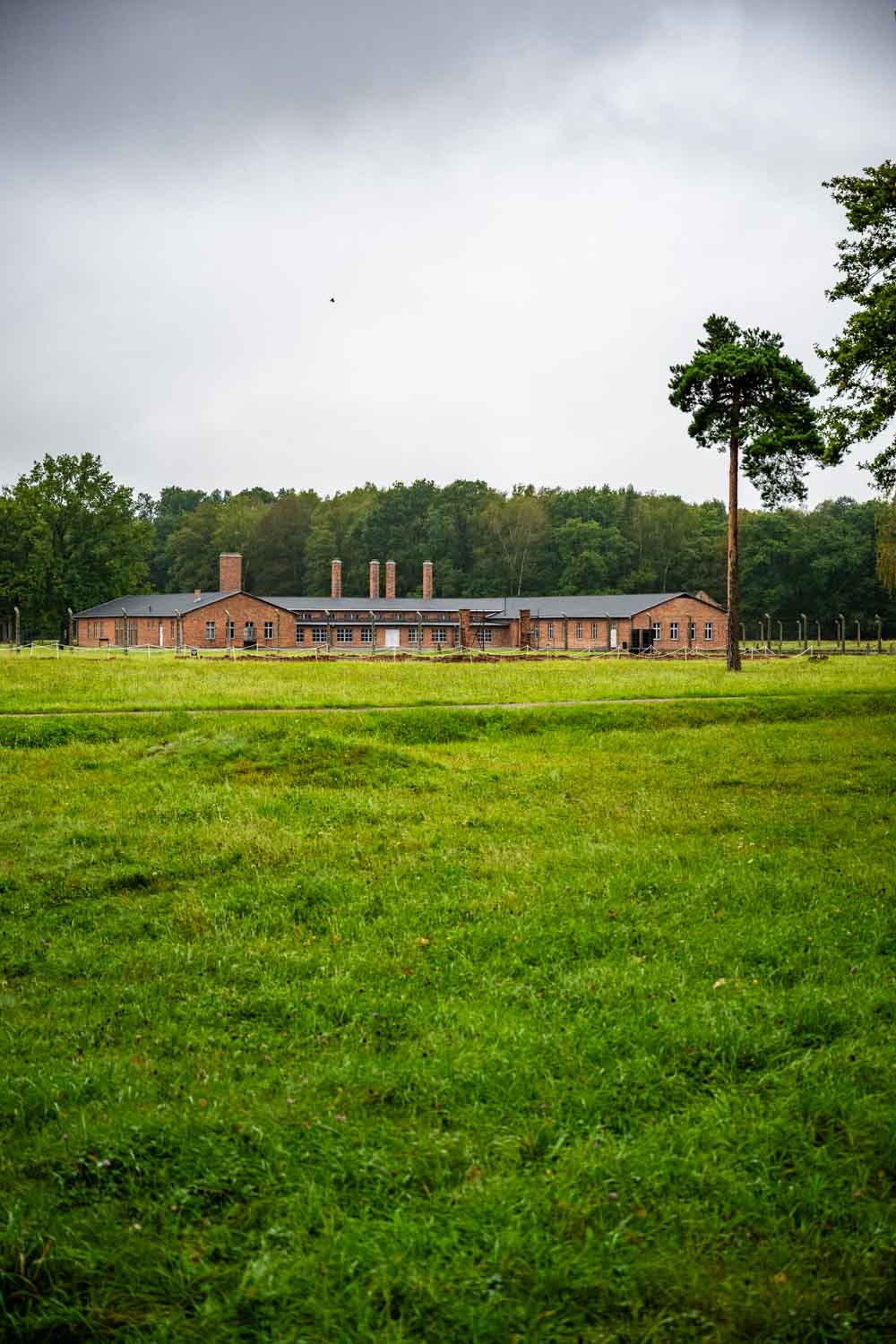 Auschwitz-Birkenau