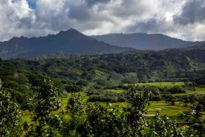 Kauai
