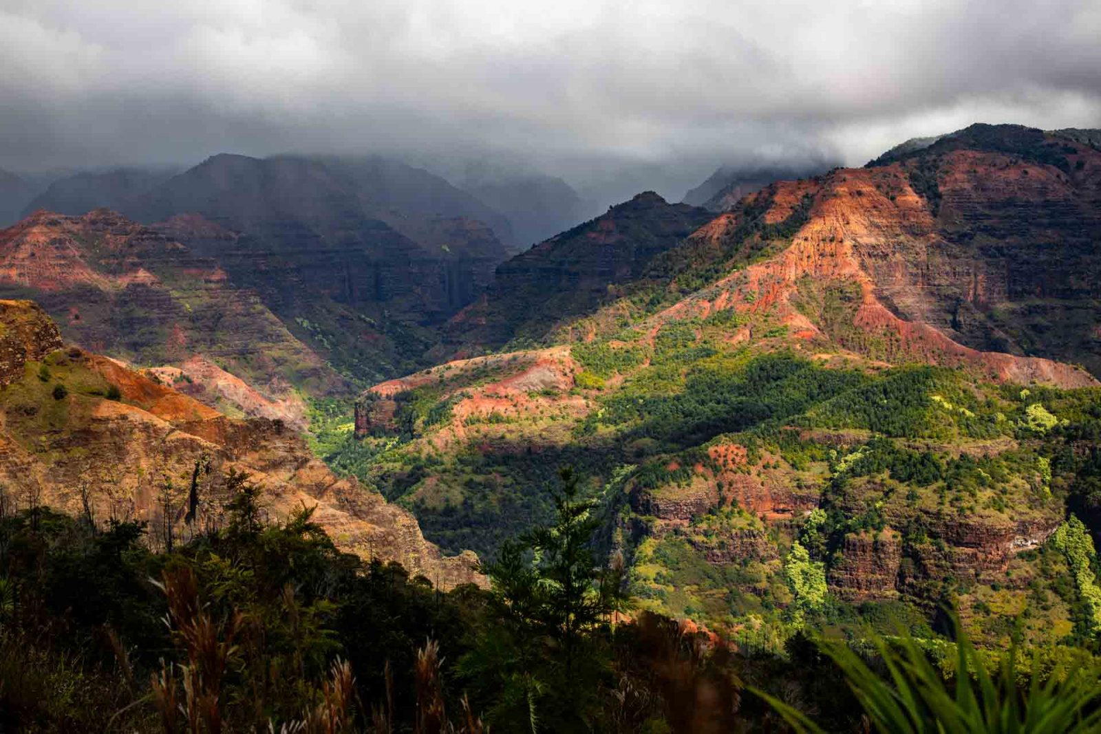 Waimea Canyon