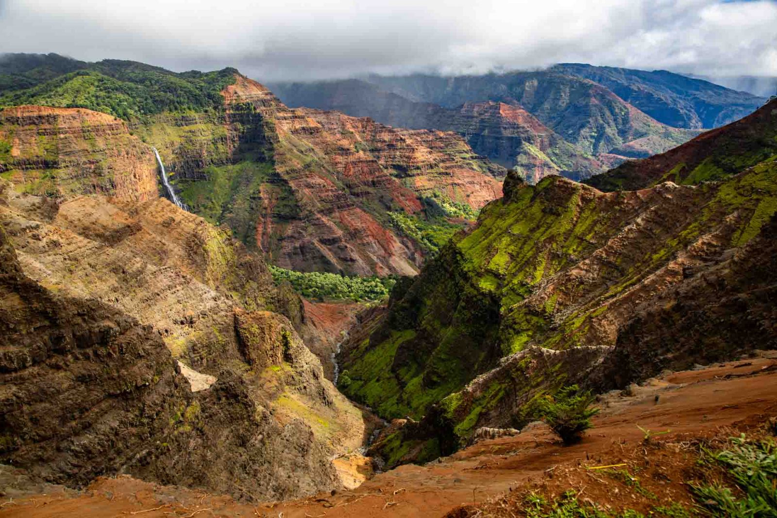Waimea Canyon