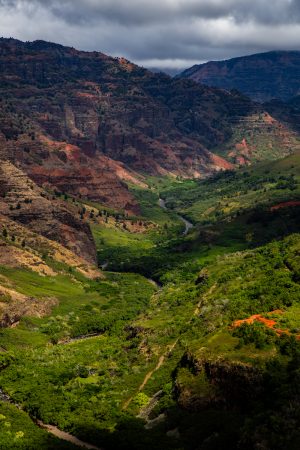 Waimea Canyon