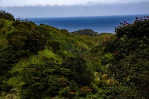 Road to Hana