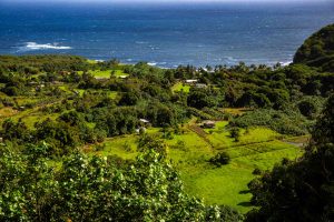 Wai'anapanapa State Park