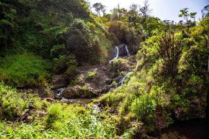 Maui