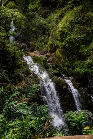 Pipiwai Trail