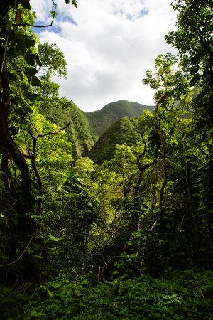 Maui