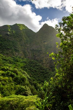 Maui