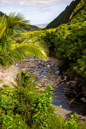 Maui