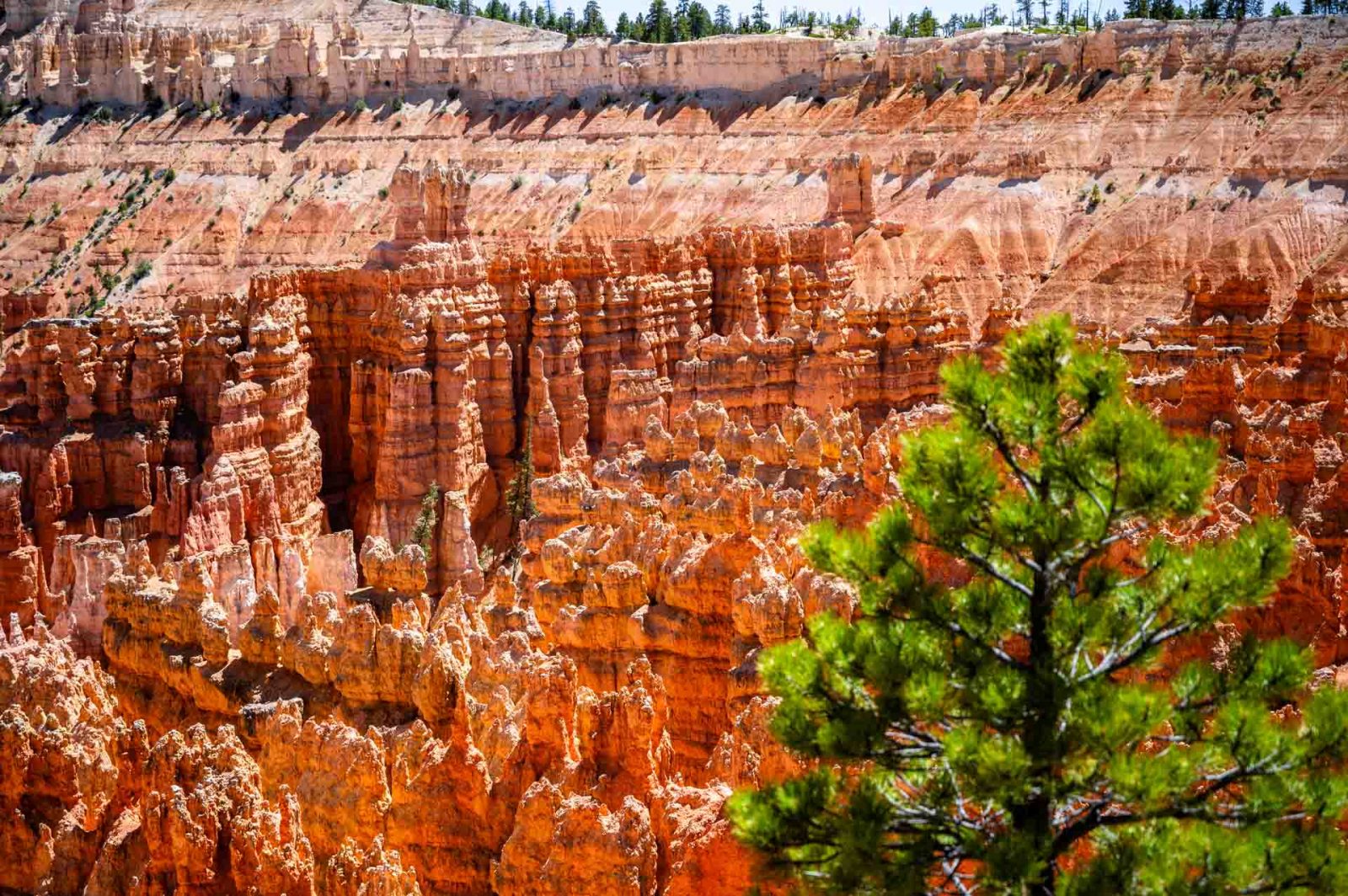 Bryce Point