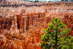 Bryce Point