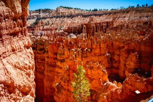Bryce Point
