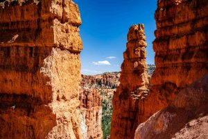 Bryce Point