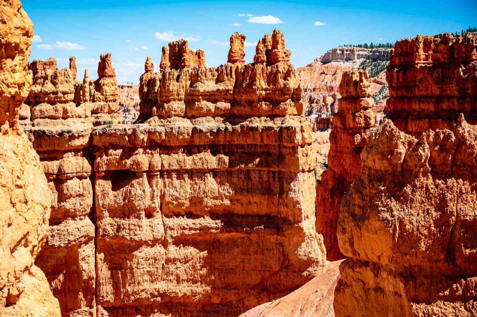 Bryce Point