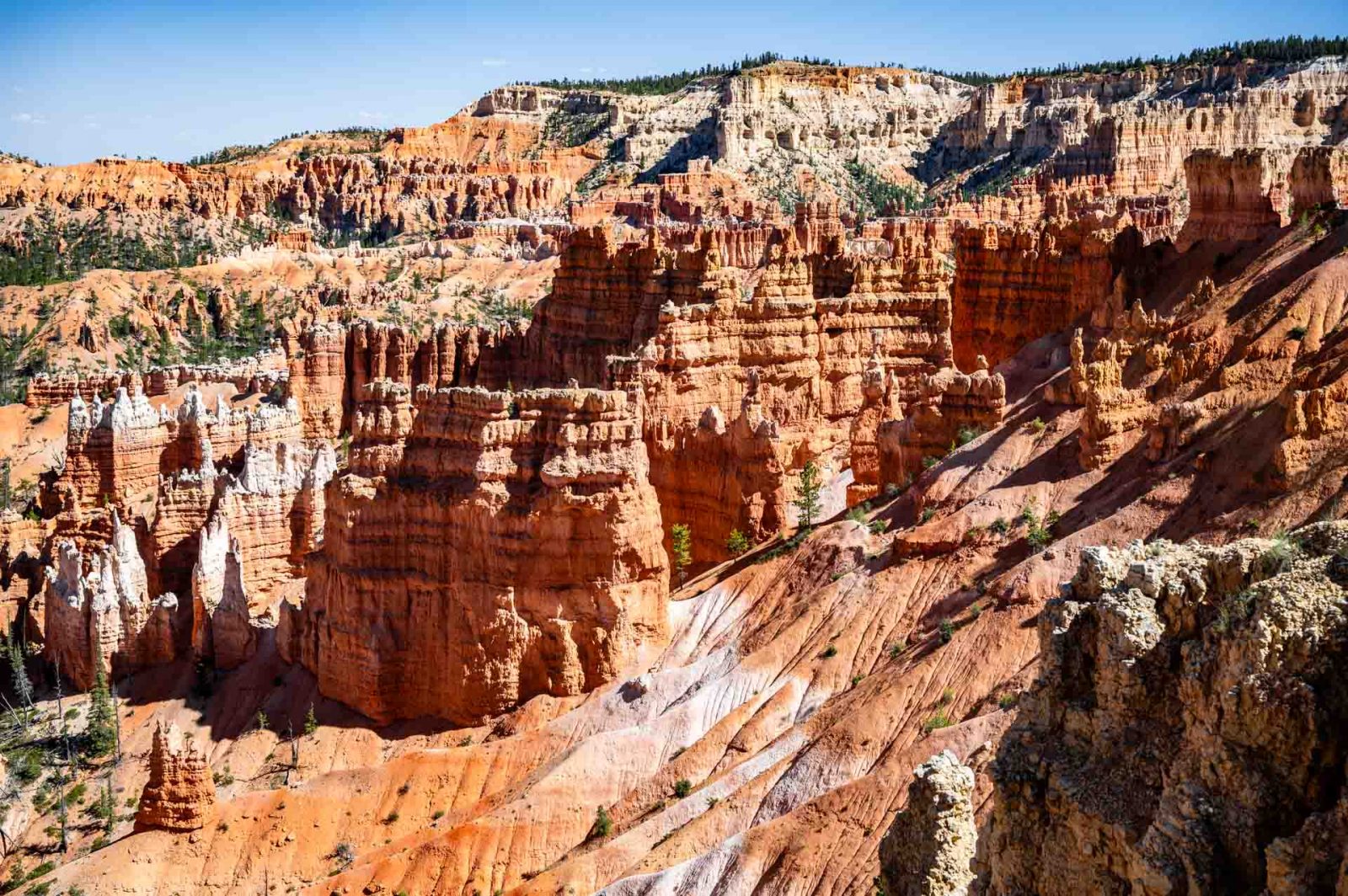 Bryce Point