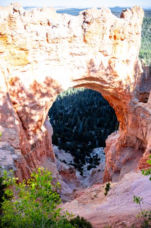 Natural Bridge