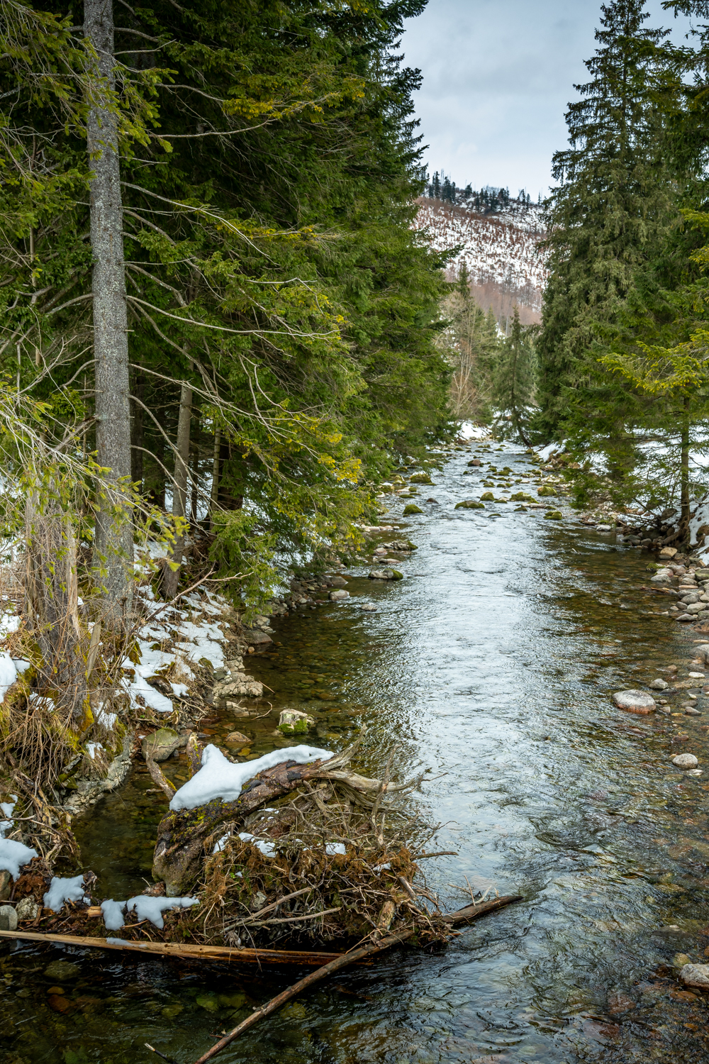 Tatra Gebirge