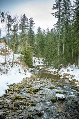 Tatra Gebirge