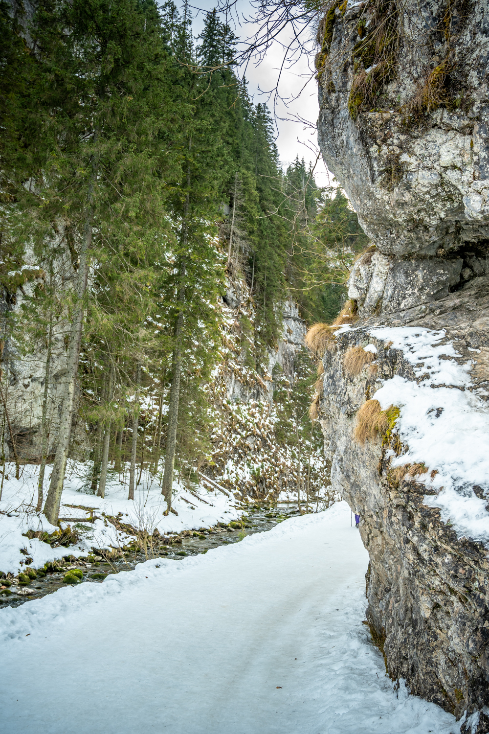 Tatra Gebirge