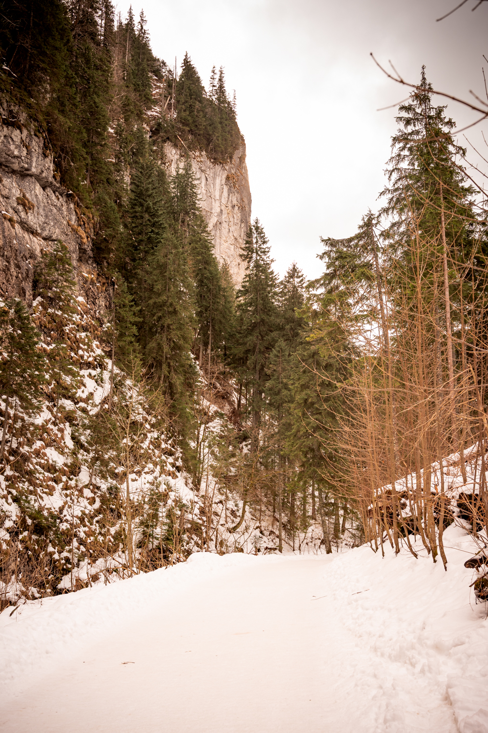 Tatra Gebirge