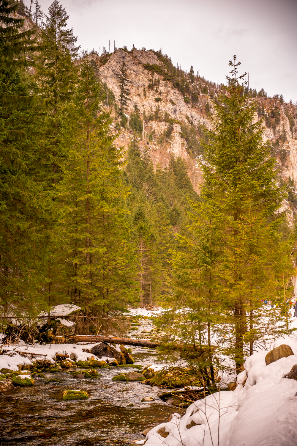 Tatra Gebirge
