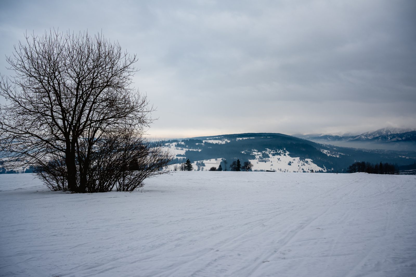 Zakopane